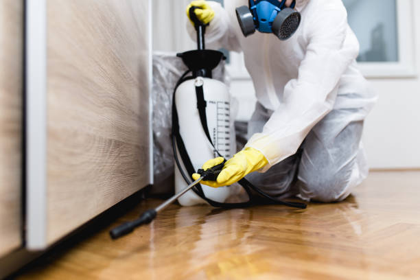 Reliable Hillcrest, IL Pest Control Solutions