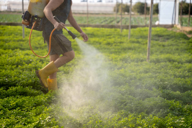 Best Emergency Pest Control  in Hlcrest, IL