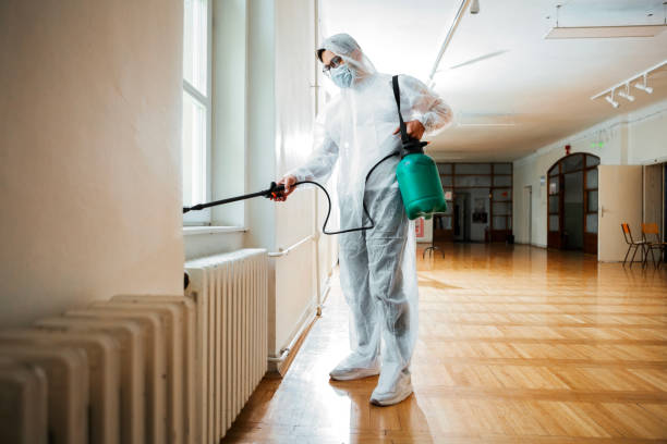 Professional Pest Control in Hillcrest, IL