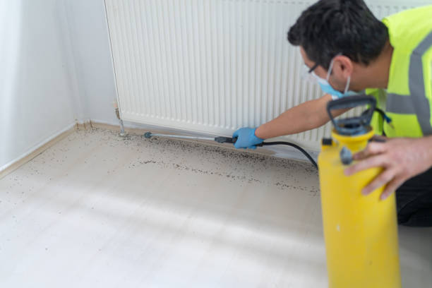 Best Pest Inspection Near Me  in Hlcrest, IL