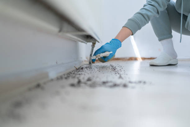 Best Pest Prevention Services  in Hlcrest, IL