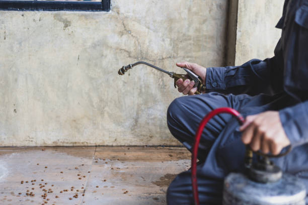 Best Wasp Removal Services  in Hlcrest, IL